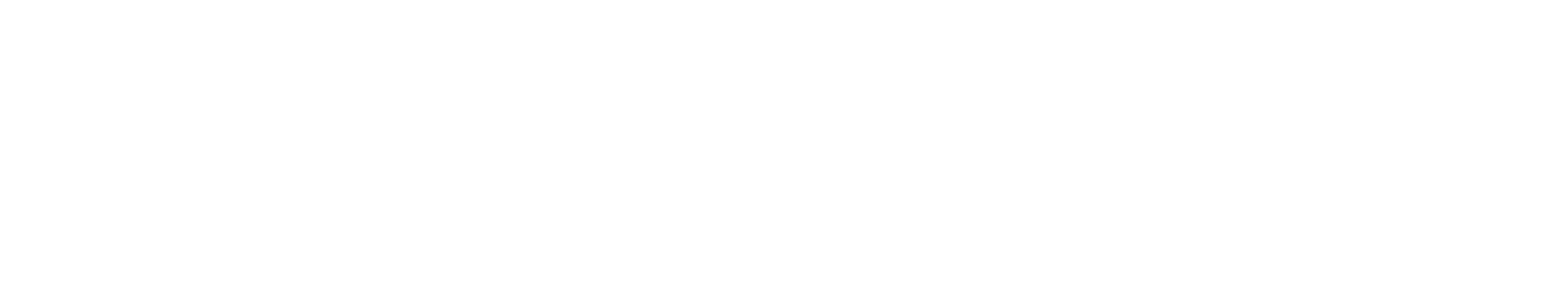 WOLF: Service Audio-Luci